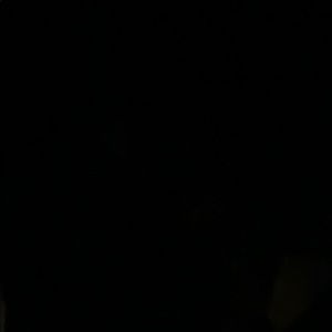 Meet your Posher, Bree